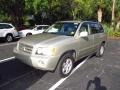 Vintage Gold Metallic - Highlander I4 Photo No. 4