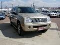 2004 Light French Silk Metallic Mercury Mountaineer V8 AWD  photo #12