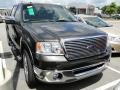 2007 Dark Stone Metallic Ford F150 XLT SuperCrew  photo #2