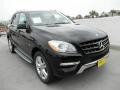 Black - ML 350 4Matic Photo No. 1