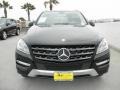 Black - ML 350 4Matic Photo No. 2