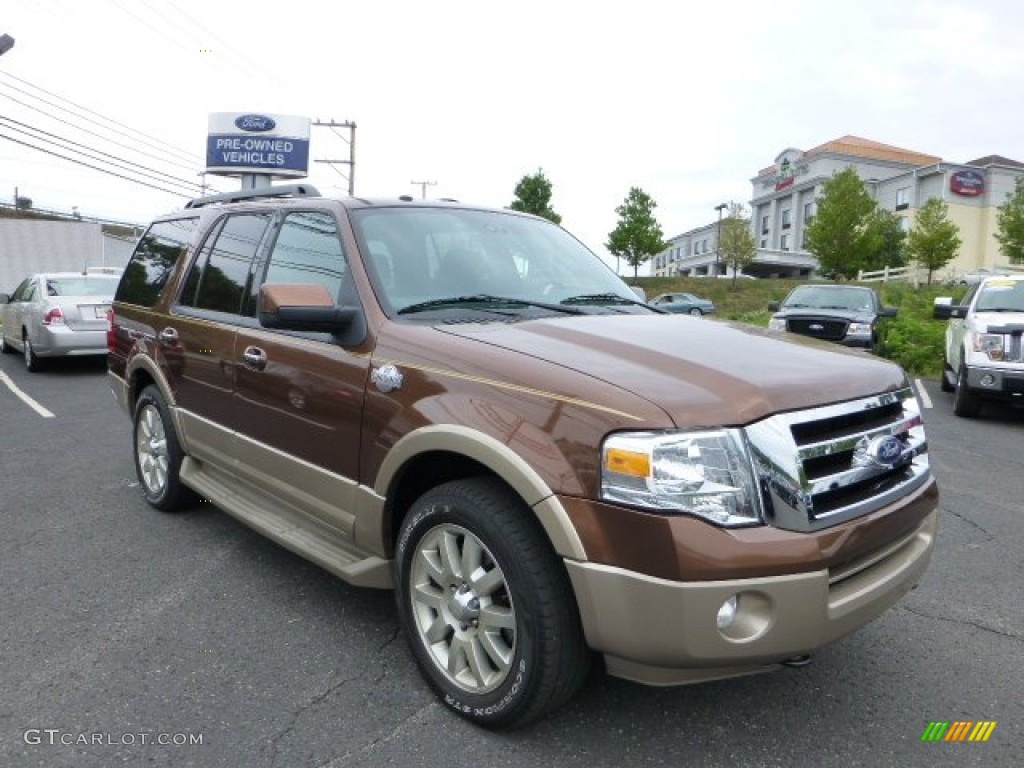 2011 Expedition King Ranch 4x4 - Golden Bronze Metallic / Chaparral Leather photo #1