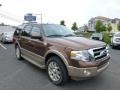 Golden Bronze Metallic 2011 Ford Expedition King Ranch 4x4