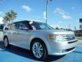 2010 Ingot Silver Metallic Ford Flex Limited  photo #7