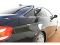 2010 Black Sapphire Metallic BMW 3 Series 335i Coupe  photo #9