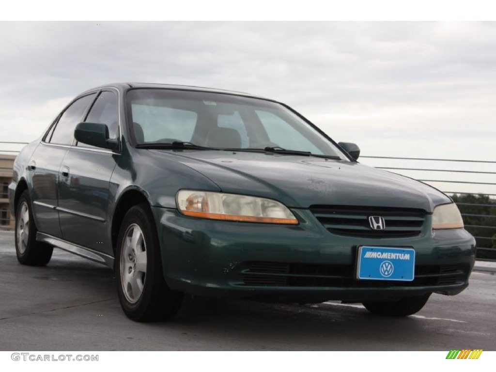2002 Accord EX V6 Sedan - Noble Green Pearl / Ivory photo #1