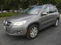 2009 Alpine Grey Metallic Volkswagen Tiguan SE  photo #2