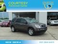 Medium Brown Metallic - Acadia SLE Photo No. 1