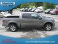 2011 Sterling Grey Metallic Ford F150 FX4 SuperCrew 4x4  photo #5