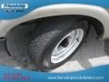 Light Pewter Metallic - S10 Extended Cab Photo No. 11