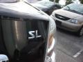 2010 Super Black Nissan Sentra 2.0 SL  photo #20