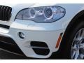 Alpine White - X5 xDrive35i Photo No. 31
