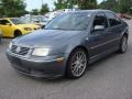 Platinum Grey Metallic - Jetta GLI Sedan Photo No. 7