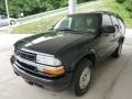 Onyx Black - Blazer LS 4x4 Photo No. 5