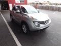 Chrome Silver - Juke SV Photo No. 7