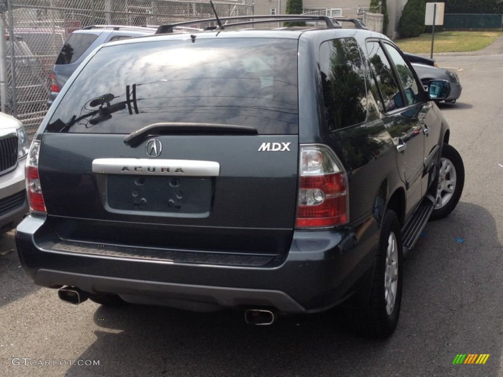 2004 MDX  - Sagebrush Pearl / Quartz photo #4