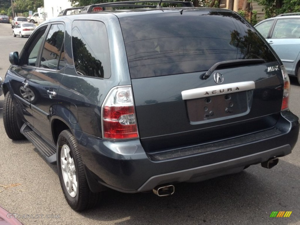 2004 MDX  - Sagebrush Pearl / Quartz photo #6