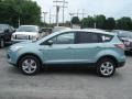  2013 Escape SE 1.6L EcoBoost 4WD Frosted Glass Metallic