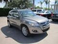 Alpine Grey Metallic - Tiguan Wolfsburg Edition Photo No. 7