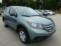 2012 Opal Sage Metallic Honda CR-V LX 4WD  photo #6