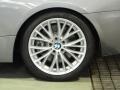 2011 Space Gray Metallic BMW 3 Series 335i Convertible  photo #34