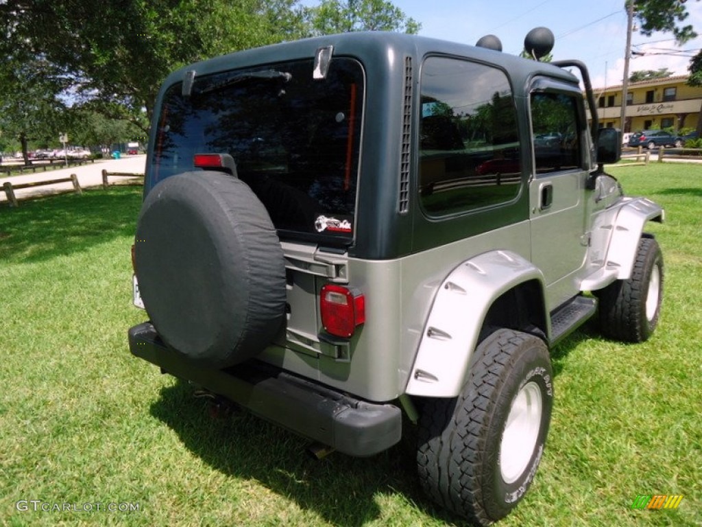 2000 Wrangler Sport 4x4 - Silverstone Metallic / Agate photo #6