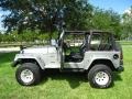 Silverstone Metallic 2000 Jeep Wrangler Sport 4x4 Exterior