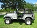 2000 Silverstone Metallic Jeep Wrangler Sport 4x4  photo #12