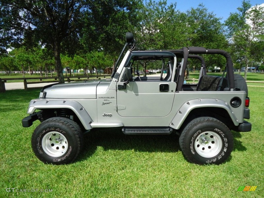 2000 Wrangler Sport 4x4 - Silverstone Metallic / Agate photo #19