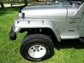 2000 Silverstone Metallic Jeep Wrangler Sport 4x4  photo #45