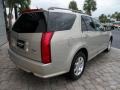 Gold Mist - SRX V6 Photo No. 26