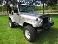 2000 Silverstone Metallic Jeep Wrangler Sport 4x4  photo #63