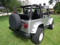 2000 Silverstone Metallic Jeep Wrangler Sport 4x4  photo #65