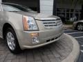 Gold Mist - SRX V6 Photo No. 30
