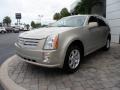 Gold Mist - SRX V6 Photo No. 32