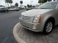 Gold Mist - SRX V6 Photo No. 33