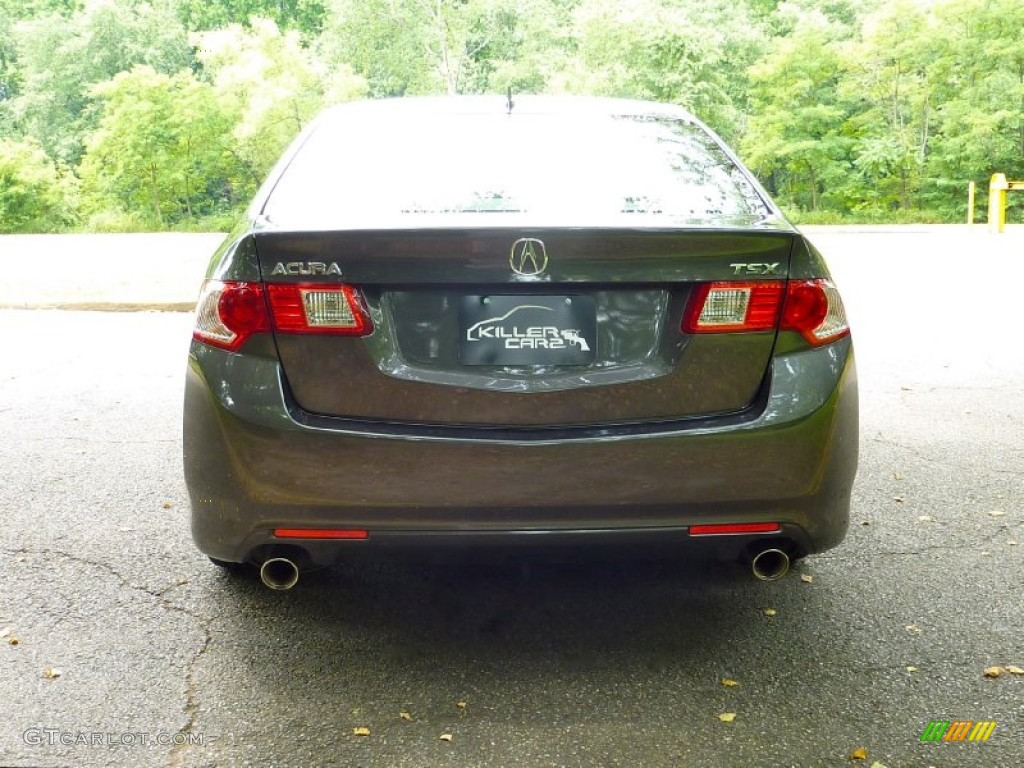 2010 TSX Sedan - Grigio Metallic / Taupe photo #6