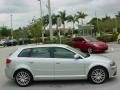 Light Silver Metallic - A3 2.0T Photo No. 7