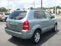 2006 Desert Sage Hyundai Tucson GLS V6 4x4  photo #5