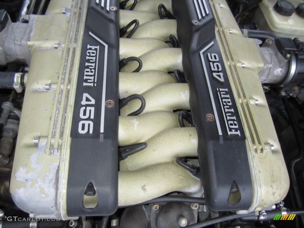 1995 Ferrari 456 GT 5.5 Liter DOHC 48-Valve V12 Engine Photo #68022590