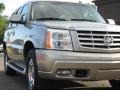 Silver Sand - Escalade AWD Photo No. 14