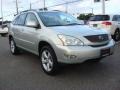 Millennium Silver Metallic - RX 350 Photo No. 7