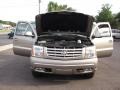 Silver Sand - Escalade AWD Photo No. 18