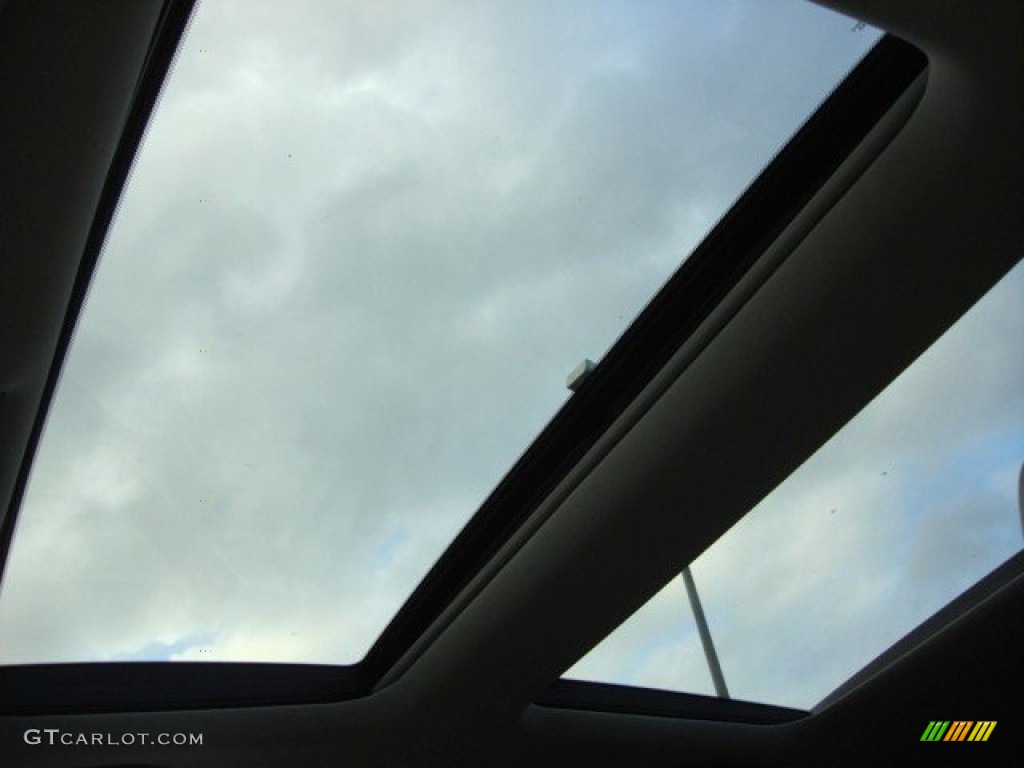 2011 Acura ZDX Technology SH-AWD Sunroof Photo #68024687