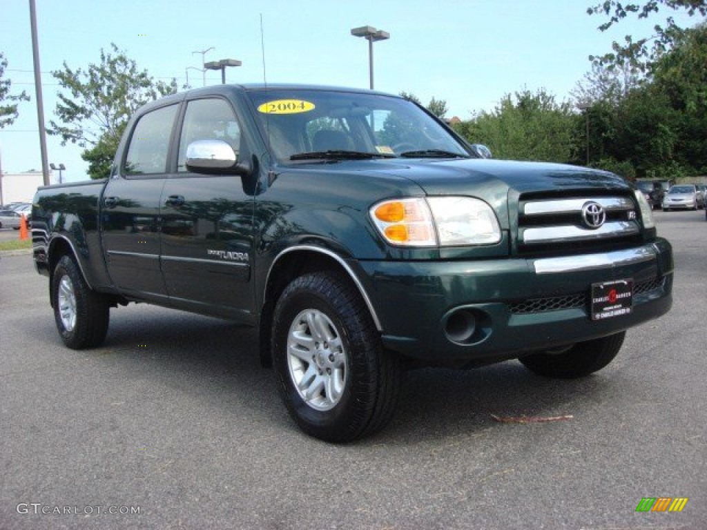 2004 Tundra SR5 Double Cab 4x4 - Imperial Jade Mica / Light Charcoal photo #1