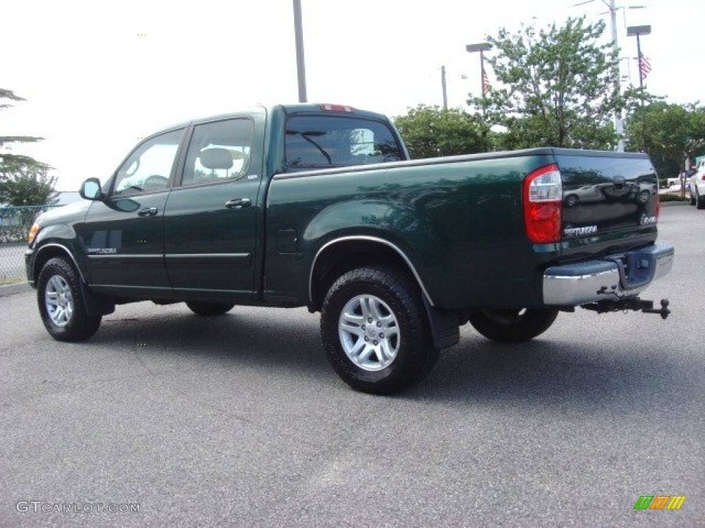 2004 Tundra SR5 Double Cab 4x4 - Imperial Jade Mica / Light Charcoal photo #5