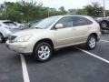 Savannah Beige Metallic - RX 330 AWD Thundercloud Edition Photo No. 6