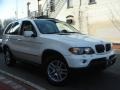 Alpine White - X5 3.0i Photo No. 2