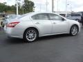 Radiant Silver Metallic - Maxima 3.5 SV Photo No. 3