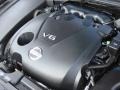 Radiant Silver Metallic - Maxima 3.5 SV Photo No. 27